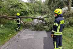 IMG-20230925-WA0025