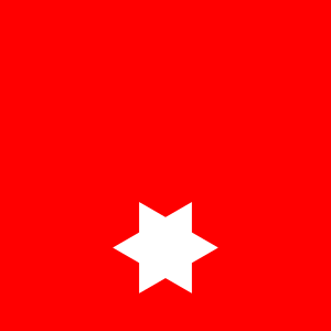 Feuerwehrmann